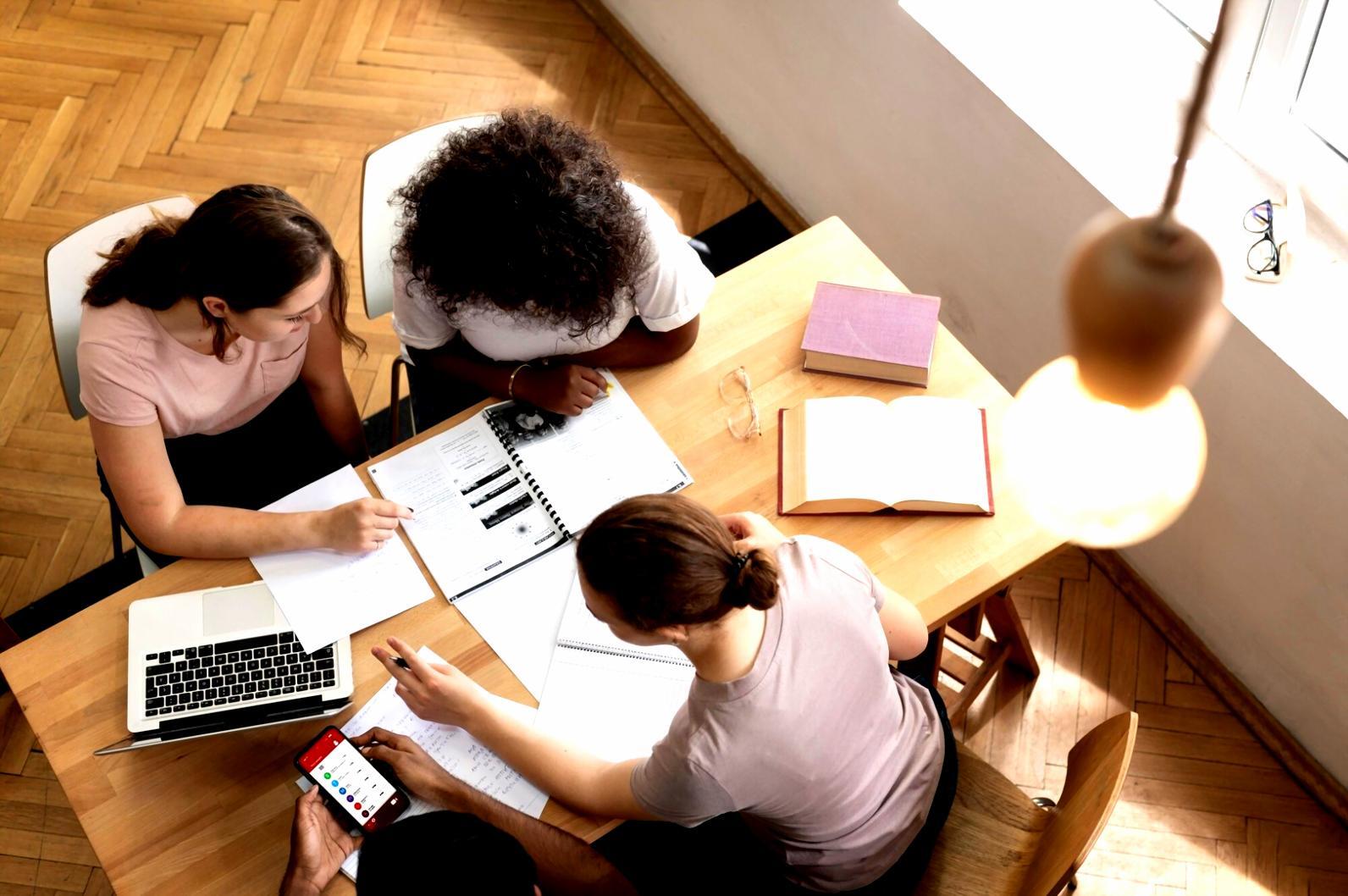 Professional business consultation environment